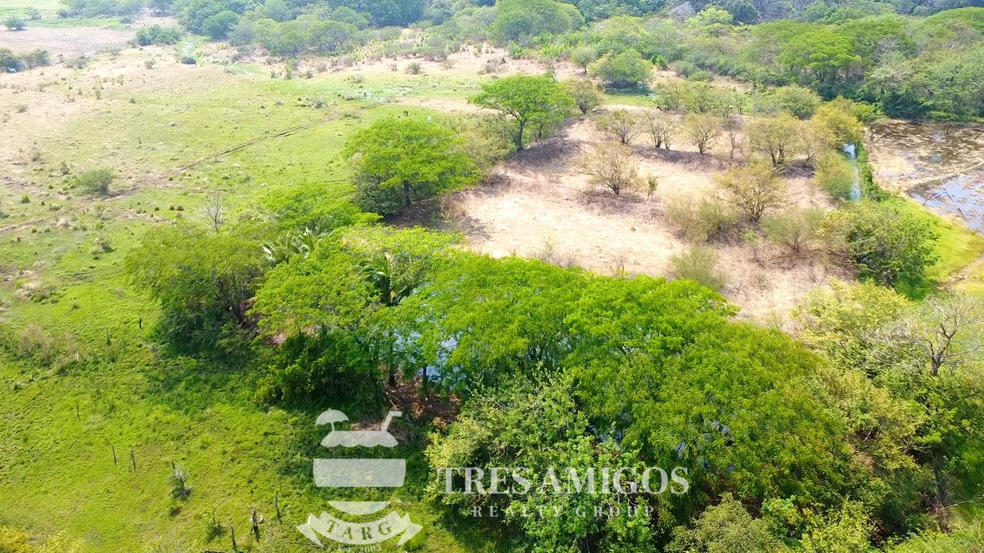 CAÑAS TILAPIA FARM Tres Amigos Realty Group Costa Rica
